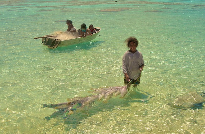 parrotfish